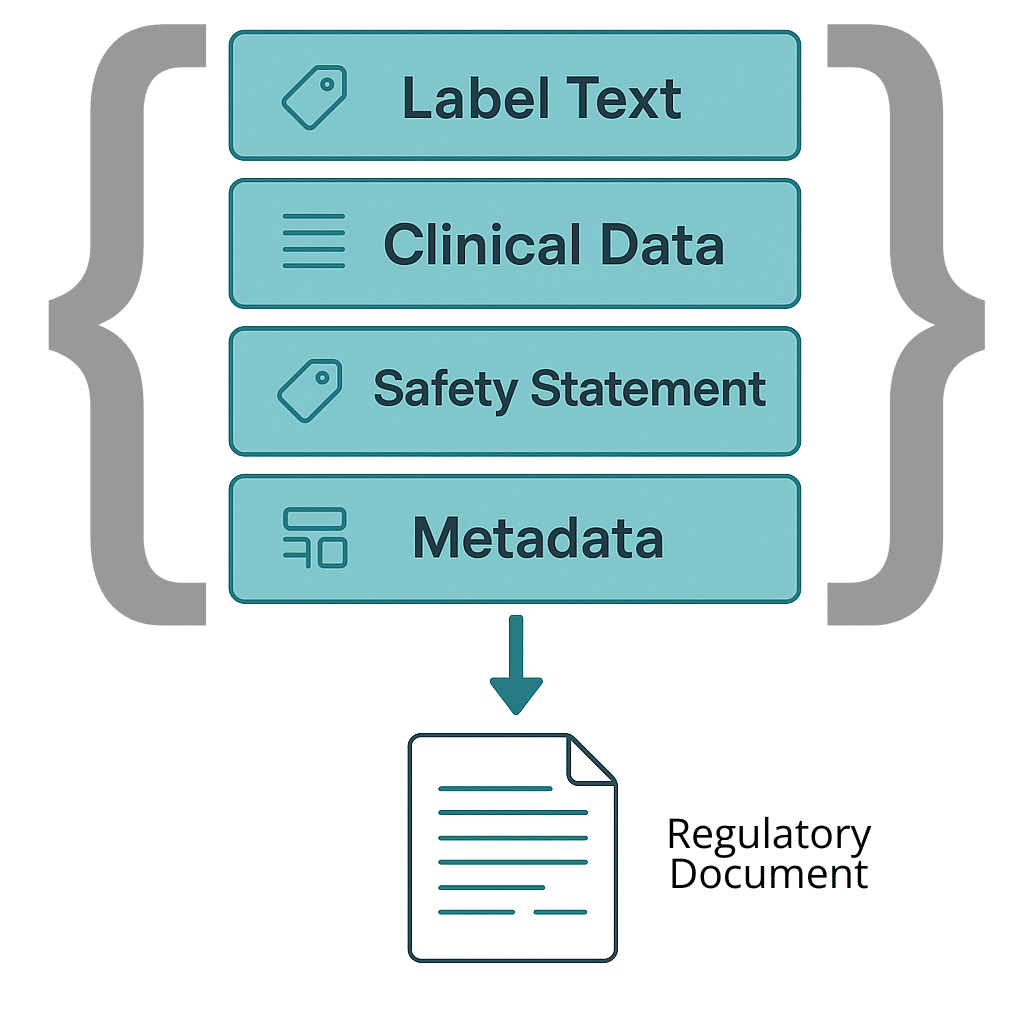 Structured to Reg Doc Structured to Reg Doc