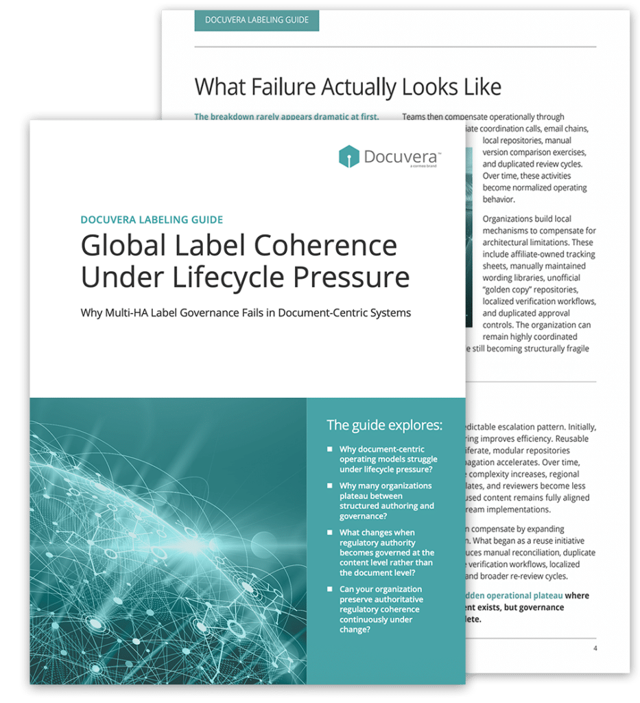 Global Label Coherence Under Lifecycle Pressure